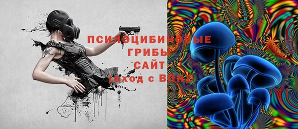 хмурый Армянск