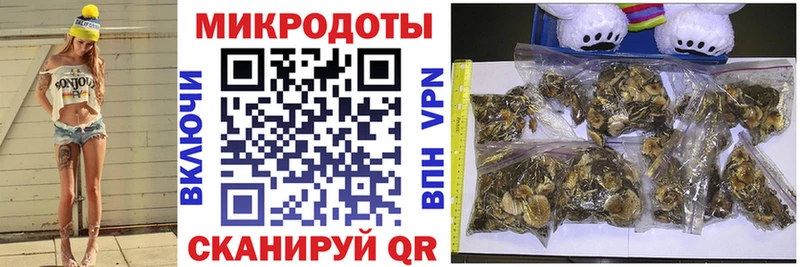 дарнет шоп  Макарьев  Галлюциногенные грибы прущие грибы 